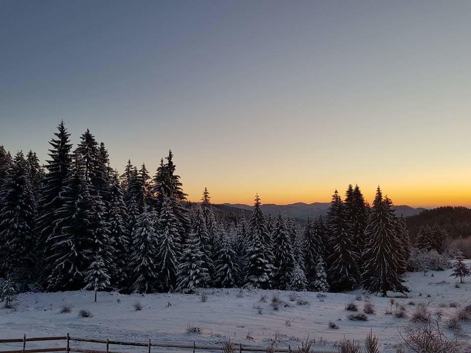амампури